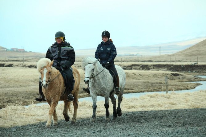 The Viking Horse Riding Experience in North Iceland - Who should book this ride?