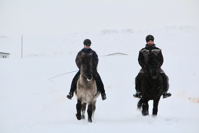 The Viking Horse Riding Experience in North Iceland - Ninety minutes beside the river and hills