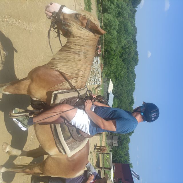 Thessaloniki:Horse Riding in a farm - A 40-minute ride through the countryside