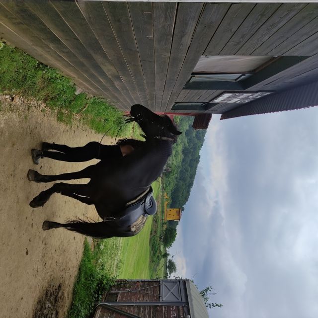 Thessaloniki:Horse Riding in a farm - Food and drinks at the farm