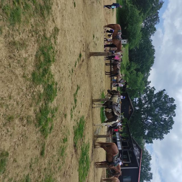 Thessaloniki:Horse Riding in a farm - Getting to know the farm before riding