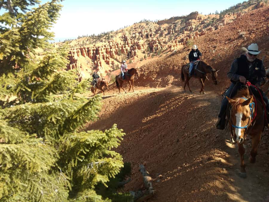 Thunder Mountain Trail: Scenic Horseback Ride - Key Points of the Thunder Mountain Ride