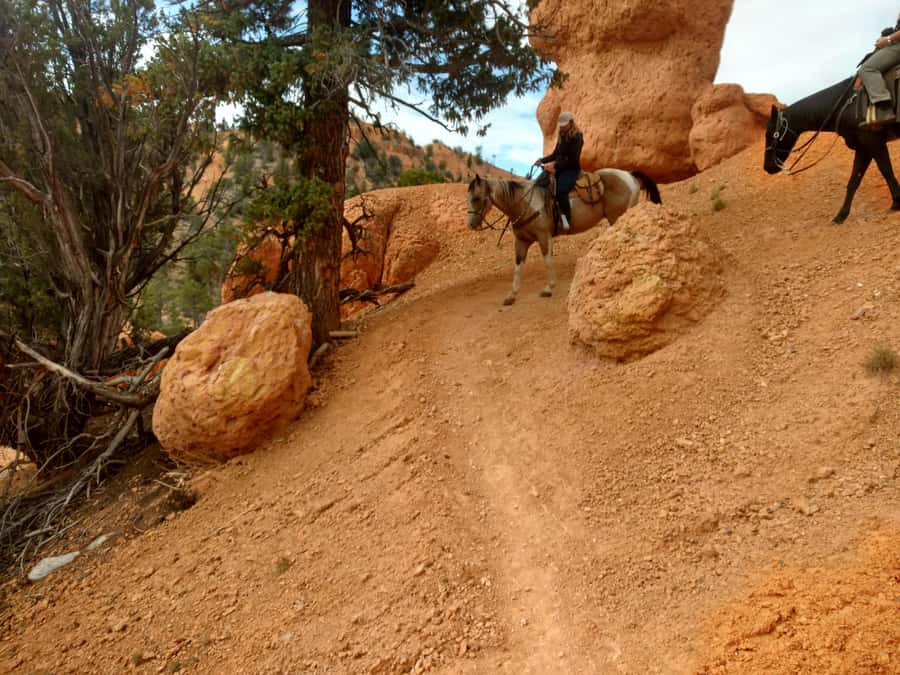 Thunder Mountain Trail: Scenic Horseback Ride - Starting With a Shuttle to the Trailhead