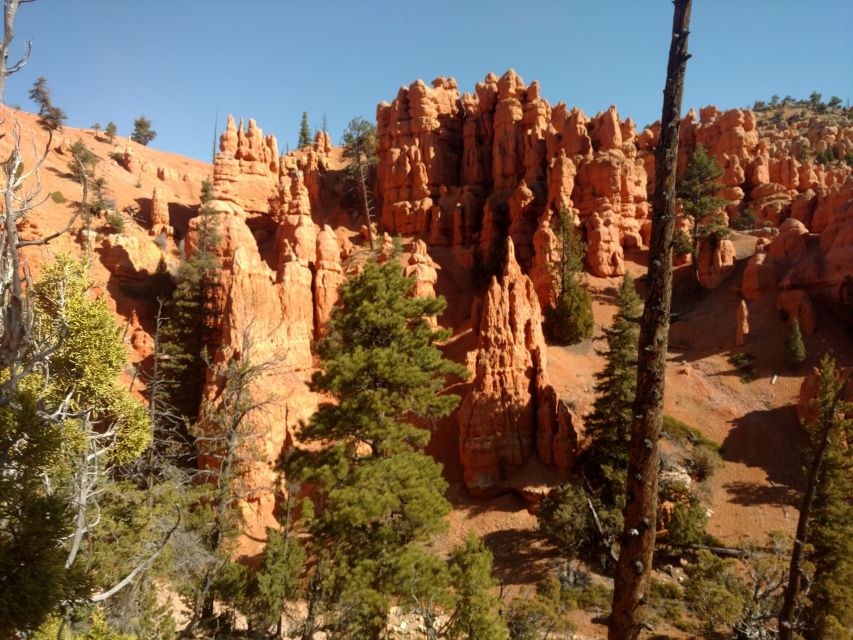 Thunder Mountain Trail: Scenic Horseback Ride - A Short Break Before the Final Forest Section