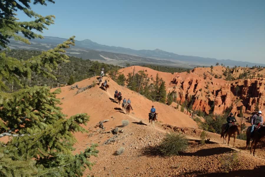 Thunder Mountain Trail: Scenic Horseback Ride - My Verdict on Thunder Mountain Trail