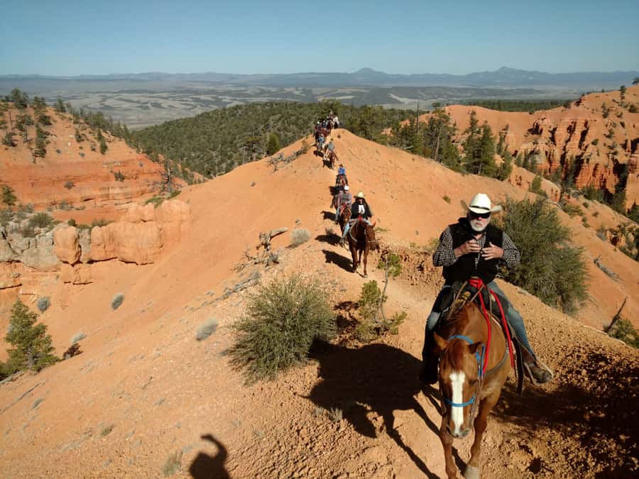 Thunder Mountain Trail: Scenic Horseback Ride - Forest Riding Before the Red Rock Views