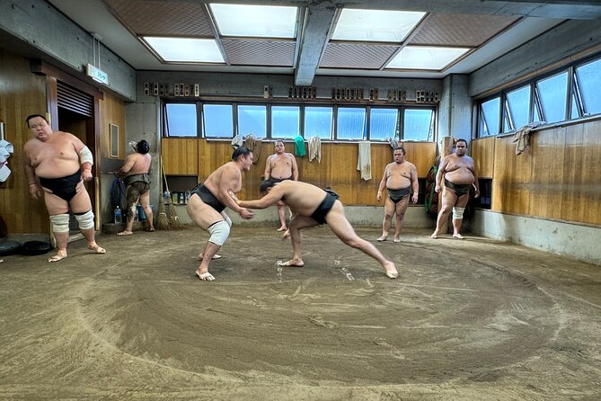 TOKYO , No1 Yokozuna Stable Morning Practice in Ryogoku - Is the $110 price fair?