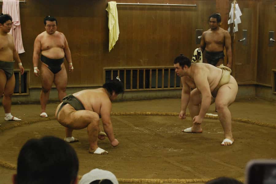 Tokyo: Sumo Morning Practice -Stable Visit Tour with a Guide - Timing, cancellation, and practical planning