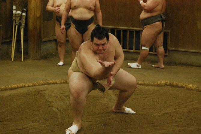 Tokyo: Sumo Morning Practice -Stable Visit Tour with a Guide - What the $82 price really covers