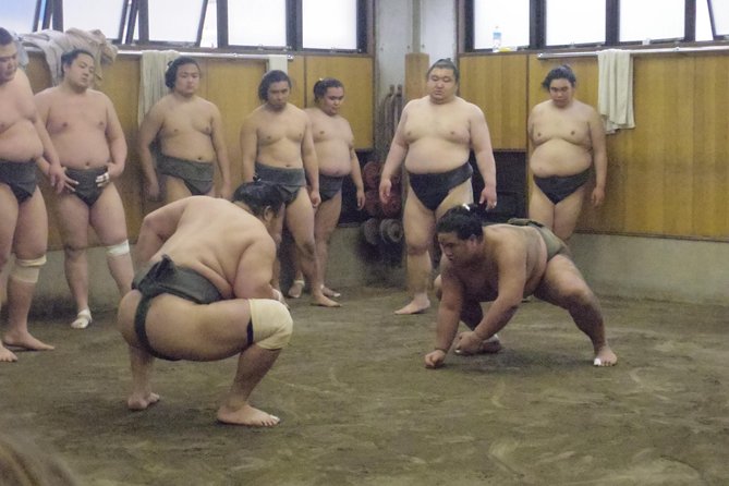 Tokyo Sumo Morning Practice Tour at Stable - Ninety minutes of drills, sparring, and intense repetition