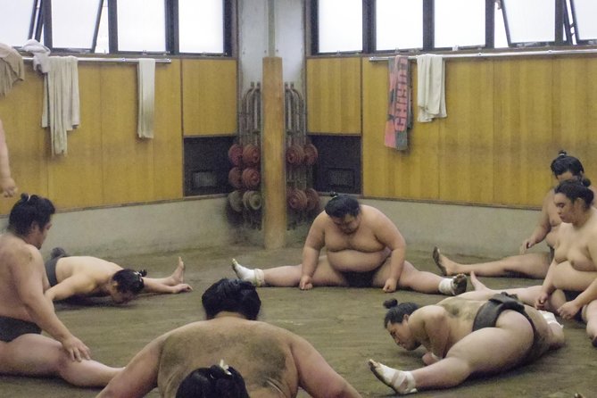 Tokyo Sumo Morning Practice Tour at Stable - Heat, seating, and other practical concerns