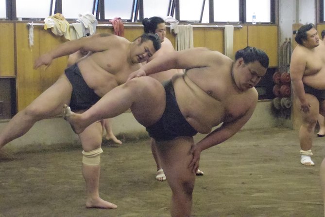 Tokyo Sumo Morning Practice Tour at Stable - Is $83.57 good value?