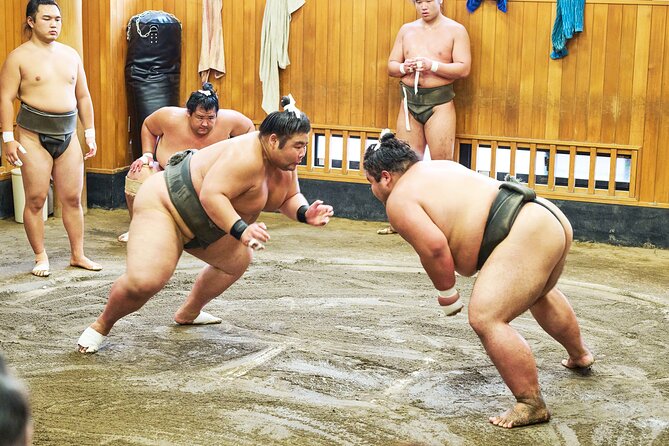 Tokyo: Sumo Morning Practice Viewing Tour at a Real Stable - Key points to know before you book