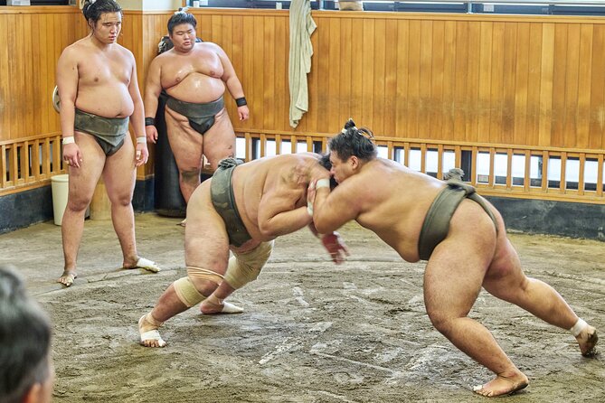 Tokyo: Sumo Morning Practice Viewing Tour at a Real Stable - Why morning practice is more revealing than a tournament