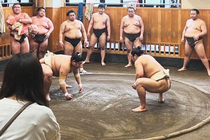 Tokyo: Sumo Morning Practice Viewing Tour at a Real Stable - What you see during the 90-minute training session