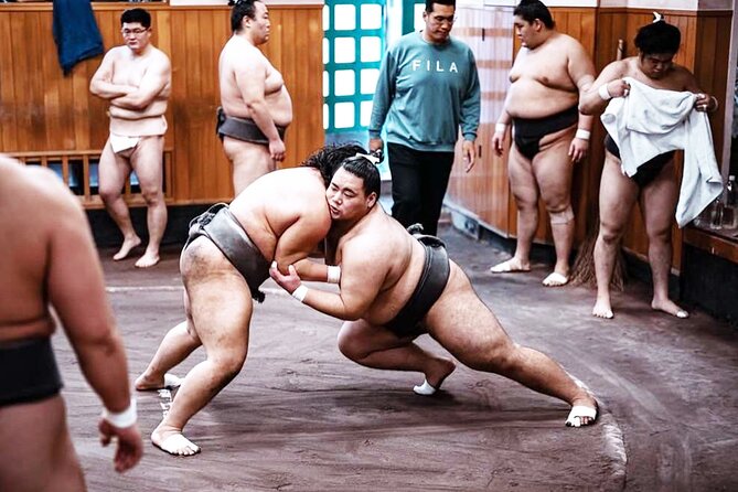 Tokyo: Sumo Morning Practice Viewing Tour at a Real Stable - Is $118.92 good value?