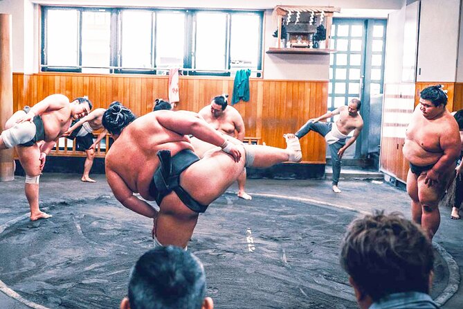 Tokyo: Sumo Morning Practice Viewing Tour at a Real Stable - Who will enjoy this most