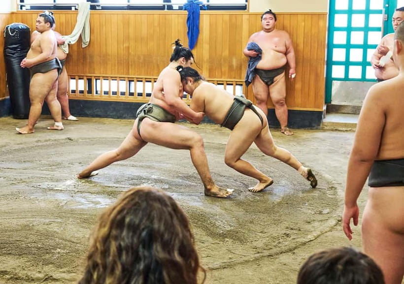 Tokyo: Sumo Morning Practice Viewing Tour at a Real Stable - Should you book the morning stable visit?