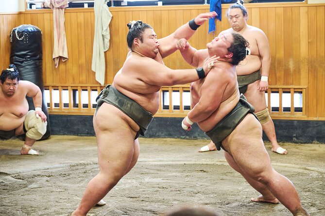 Tokyo: Sumo Morning Practice Viewing Tour at a Real Stable - The short briefing that makes the practice easier to follow