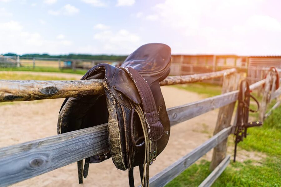 Torremolinos: Guided tour to stables of El Ranchito - Why the animal-care element matters