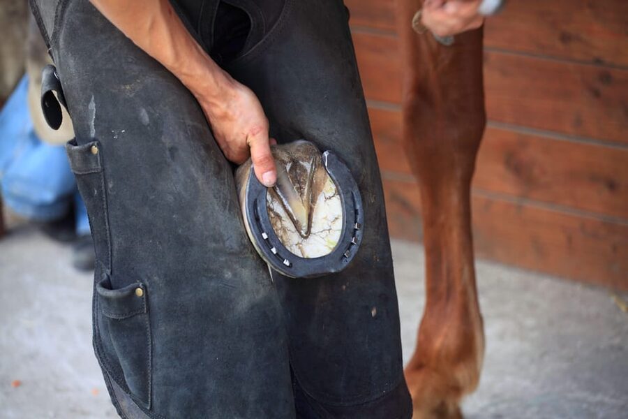 Torremolinos: Guided tour to stables of El Ranchito - The value of $17