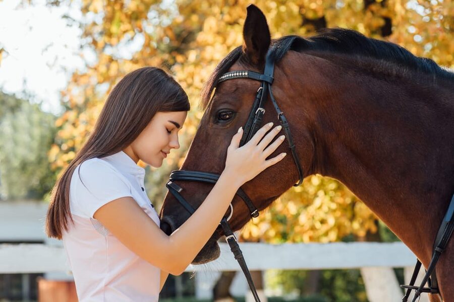 Torremolinos: Guided tour to stables of El Ranchito - What happens inside the El Ranchito stables