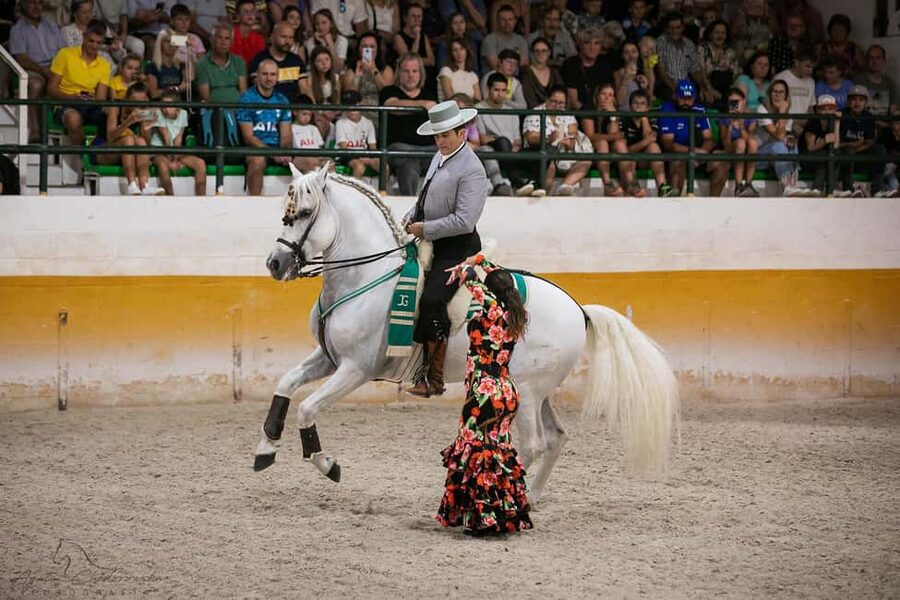 Torremolinos: Spanish horse and flamenco show - The horse show at El Ranchito