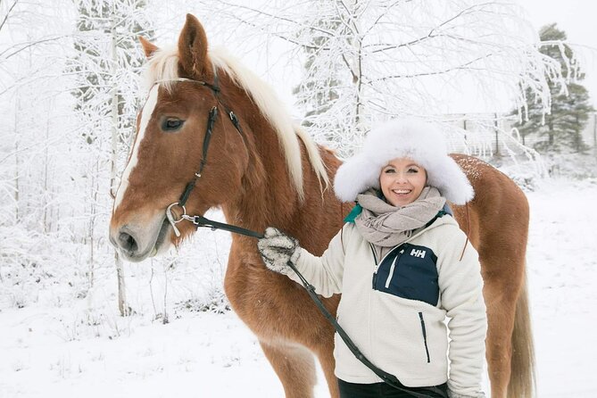 Tour to Aurora Horses Farm with Charming Finnhorses - Key points to know before you book