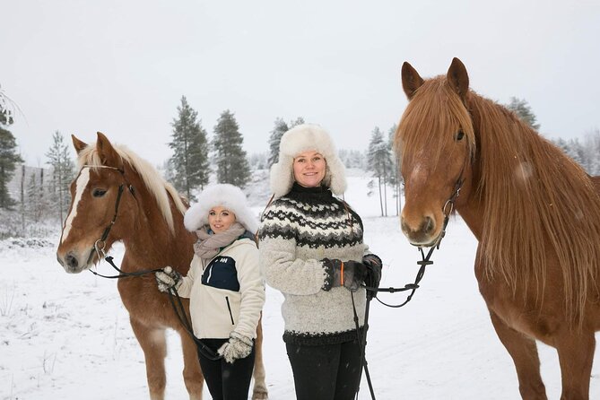 Tour to Aurora Horses Farm with Charming Finnhorses - What happens during the 30-minute visit