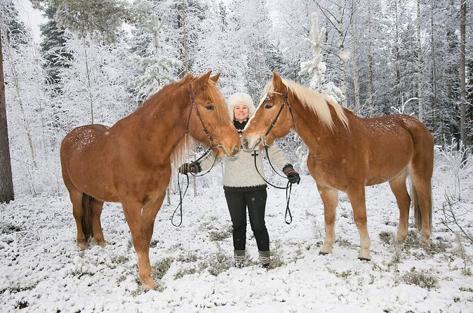 Tour to Aurora Horses Farm with Charming Finnhorses - The small family-business setting