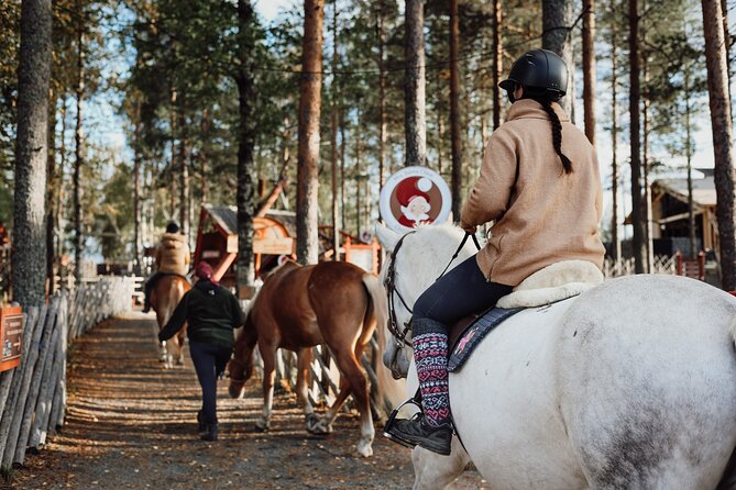 Tour to Aurora Horses Farm with Charming Finnhorses - Fitting the farm into a Rovaniemi day