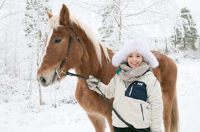 Tour to Aurora Horses Farm with Charming Finnhorses - Is $42.34 good value?