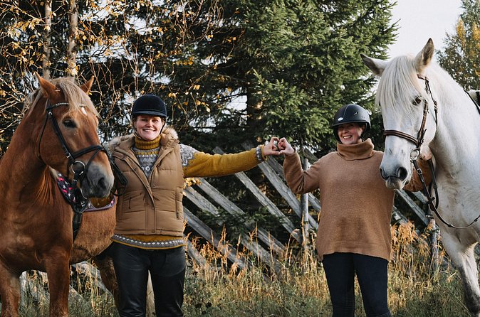 Tour to Aurora Horses Farm with Charming Finnhorses - Who will enjoy this most?