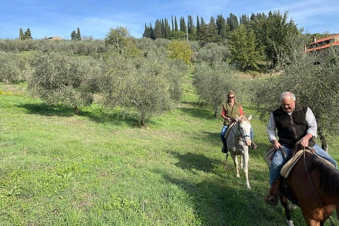 Truffle hunt, Lunch, Horse riding, a top half-day near Florence - Leaving Florence for the Southern Tuscan hills
