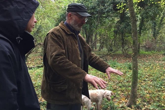 Truffle hunt, Lunch, Horse riding, a top half-day near Florence - Meeting Fosco and the truffle dogs