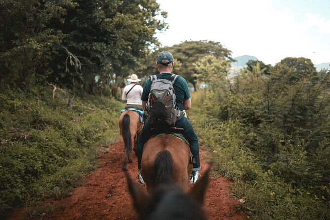 Tulum Jungle Horseback Ride + ATV + Ziplines + Cenote Combo Tour - Horseback riding is more of a sample than a tour