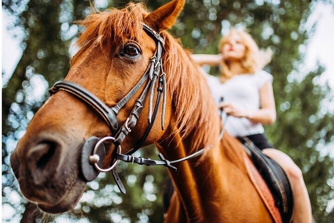 Tulum Jungle Horseback Ride + Cenote Dip & Traditional Lunch - Practical details for a smoother day