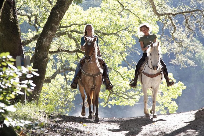 Tuscan Chianti Hills Horseback Riding Tour - Walking, Trotting, and Cantering