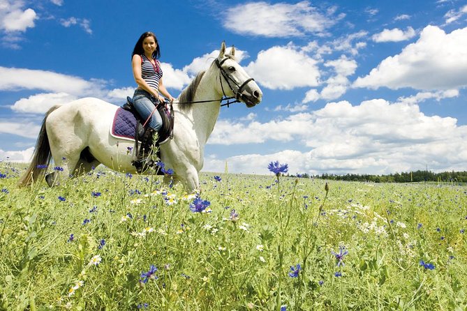 Tuscan Chianti Hills Horseback Riding Tour - What the $90.11 Price Really Buys