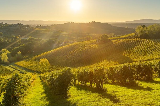 Tuscan Chianti Hills Horseback Riding Tour - Safety, Group Size, and Riding Ability