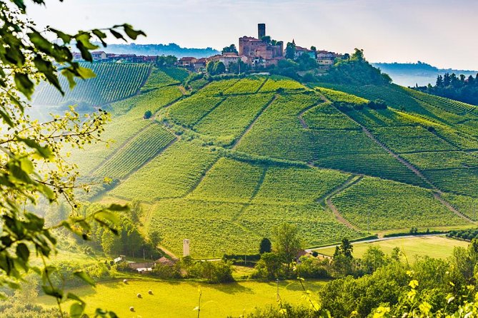 Tuscan Chianti Hills Horseback Riding Tour - Who Will Enjoy This Tuscan Ride