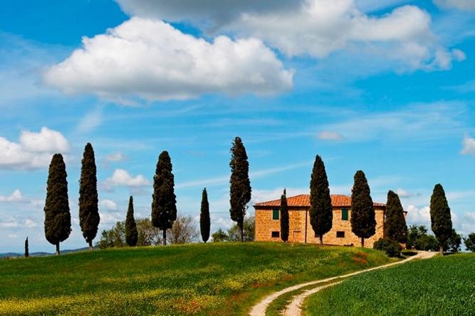 Tuscan Chianti Hills Horseback Riding Tour - Sixty Minutes Through Woods, Fields, and Old Villages