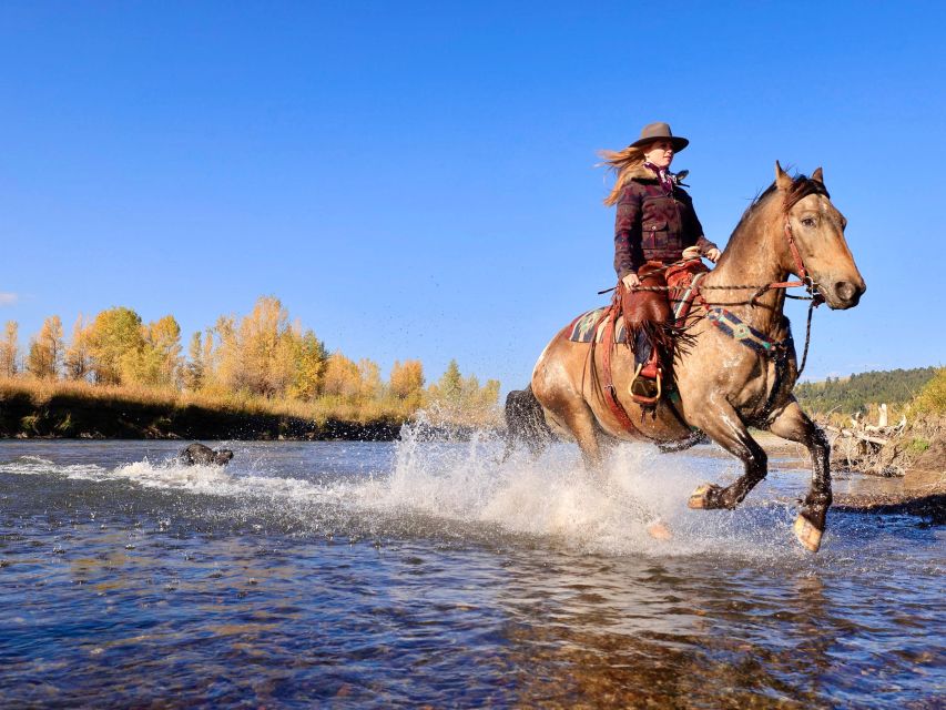 Tuscon: Rancho Cerros Horseback Riding Tout with Great Views - Who will get the most from this ride