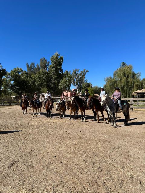 Tuscon: Rancho Cerros Horseback Riding Tout with Great Views - Ninety minutes among Saguaro Cacti