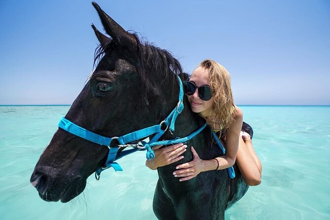 Two hours adventure Horse Riding with Transfer From Hurghada - What the $14.53 price really covers