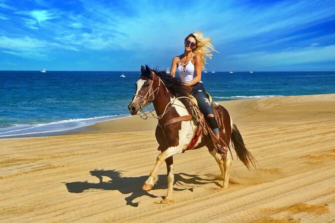 Two hours adventure Horse Riding with Transfer From Hurghada - Is this Hurghada horse ride worth booking?