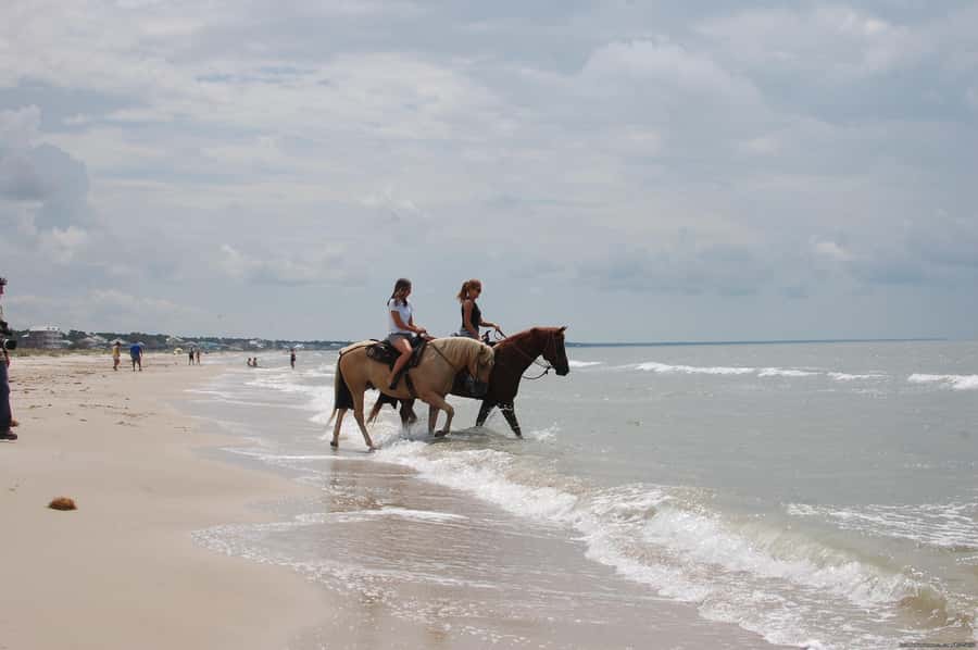 Ubud: Horse Riding, Zip-Line Tour & Waterfall Tour - Zip-lining above rice paddies and forest