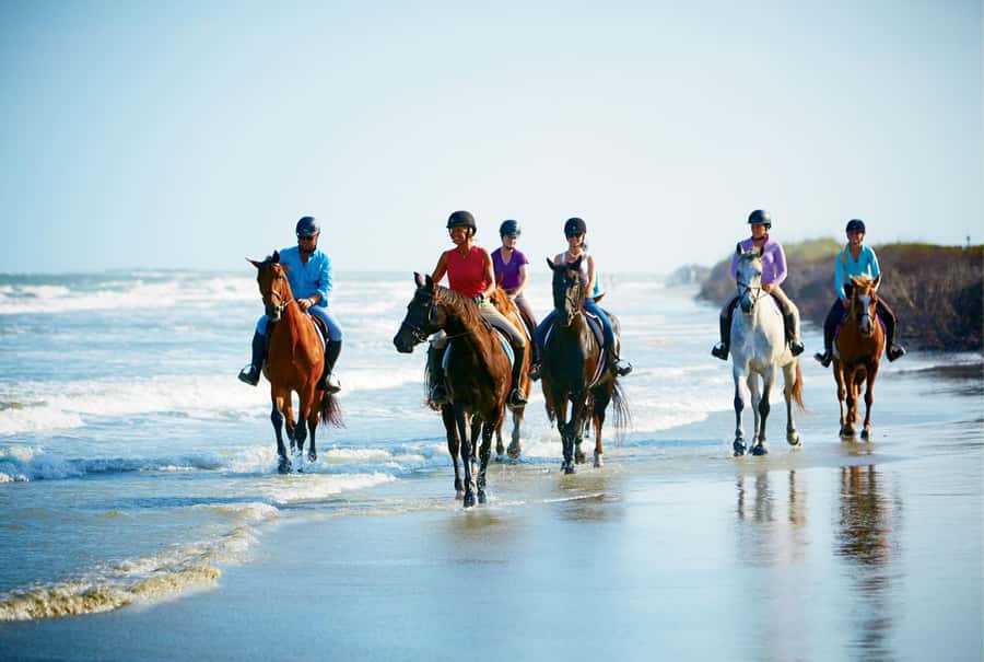Ubud: Horse Riding, Zip-Line Tour & Waterfall Tour - Is $44 good value for this Bali day trip?