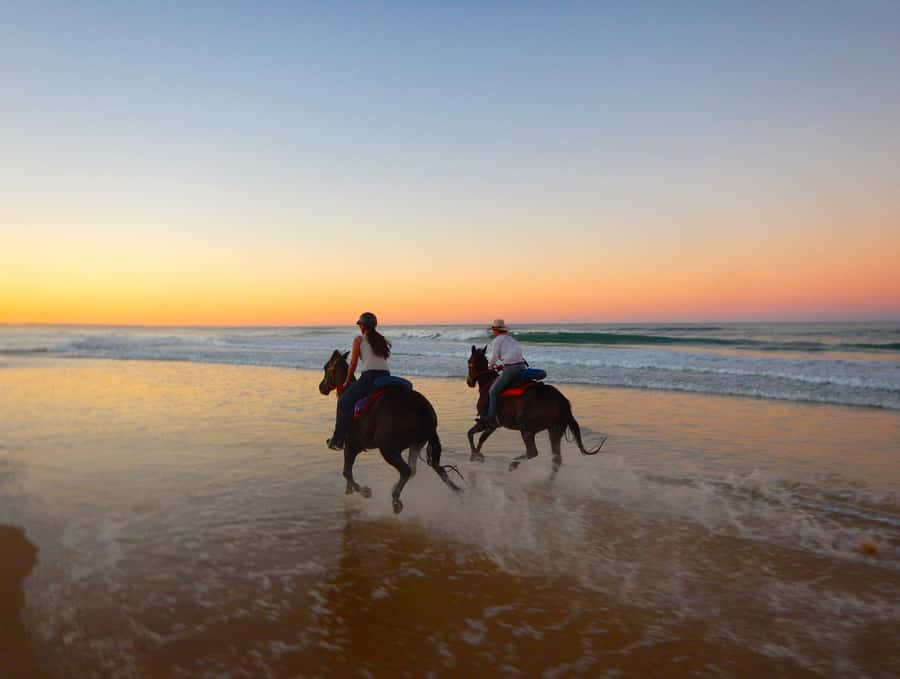 Ubud: Horse Riding, Zip-Line Tour & Waterfall Tour - Saba Beach horseback riding with Mount Agung in view