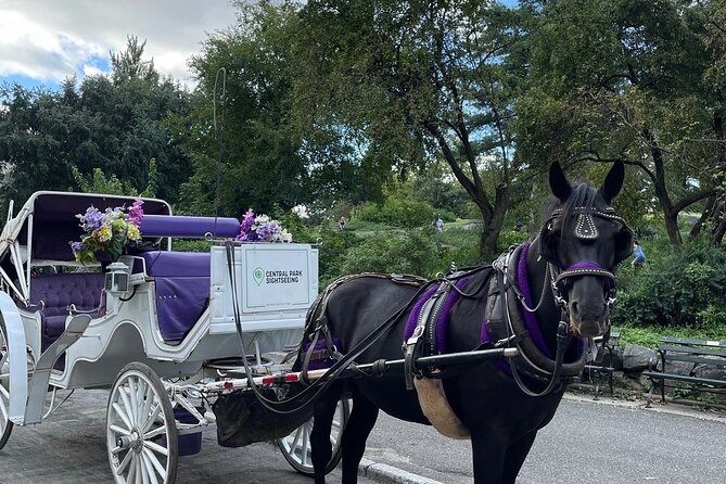 Unforgettable Luxury Horse and Carriage Tours in Central Park - Key points at a glance